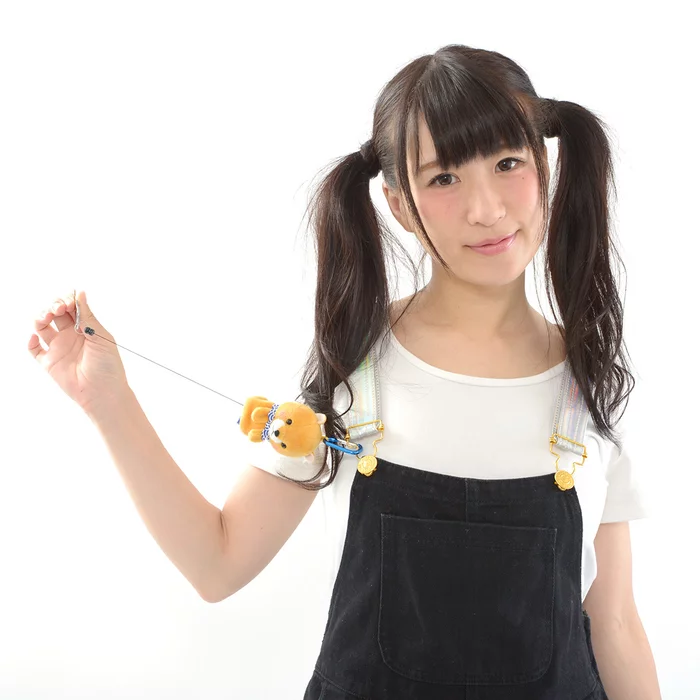 Amuse Mameshiba San Kyodai Dog Reel Key Cover Collection - Image 9