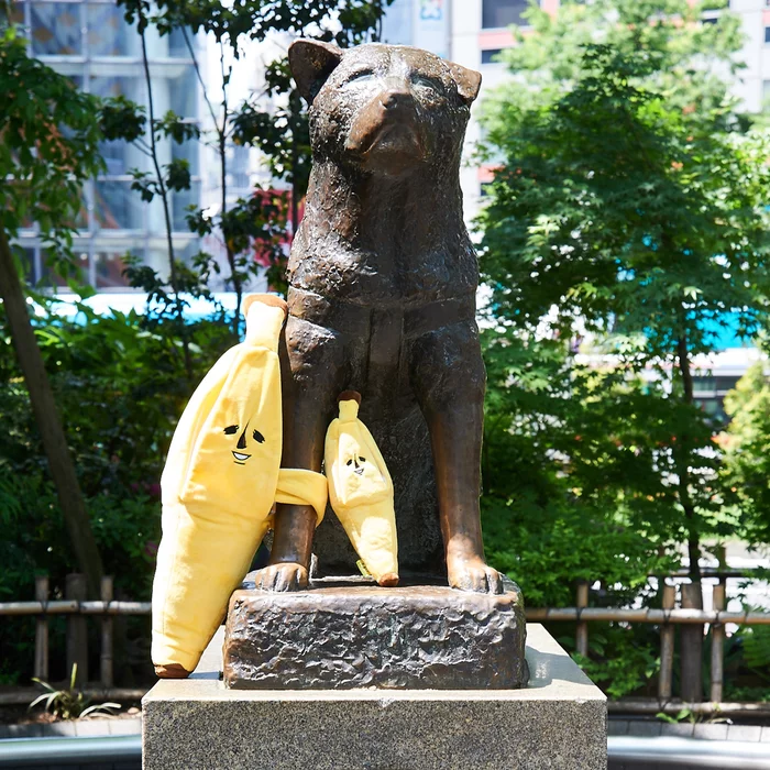 Elite Banana Banao Peelable Medium Plush - Image 31