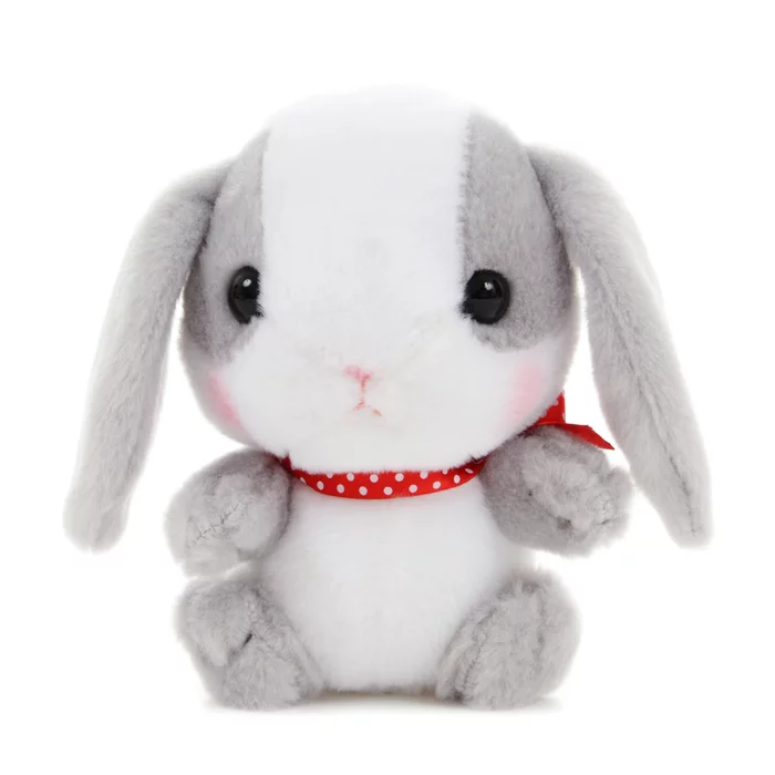 Amuse Pote Usa Loppy Rabbit Plush Collection (Standard) - Image 10