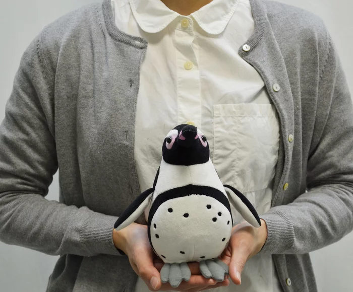 Plush Penguin Collection: African Penguin - Image 8
