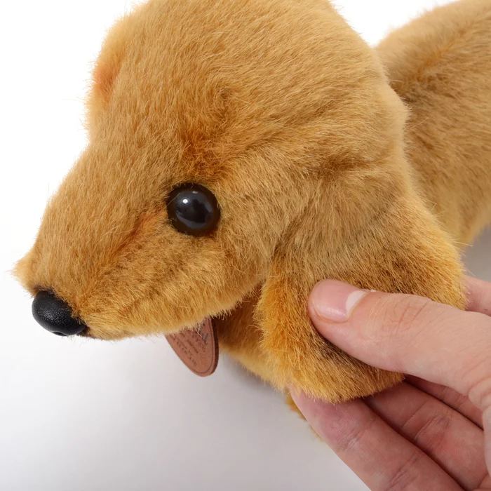 Graceful Small Dachshund Plush - Image 12