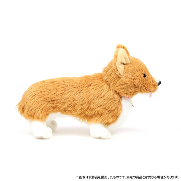 Cowboy Bebop Ein Plush - Image 3