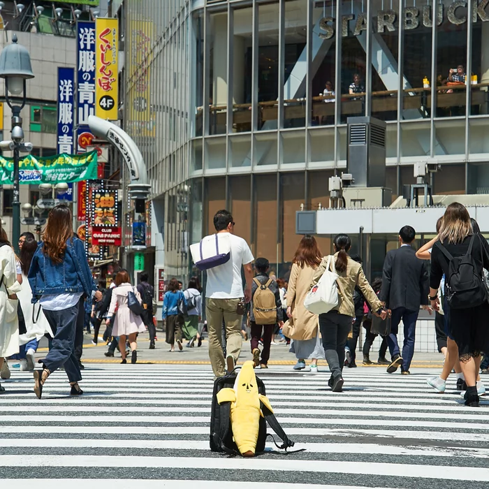 Elite Banana Banao Peelable Medium Plush - Image 19