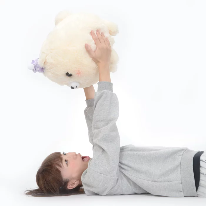 Amuse Pometan To Oyasumi Dog Plush Collection (Big) - Image 13