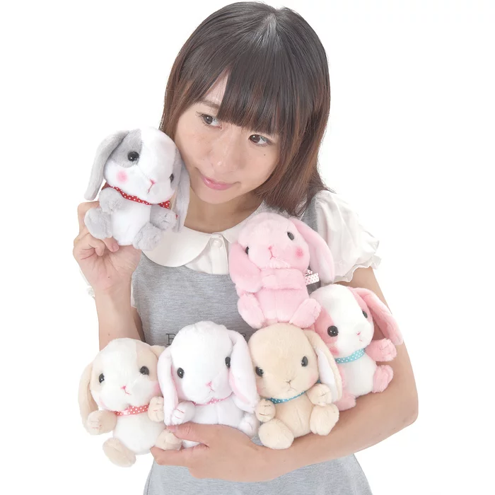 Amuse Pote Usa Loppy Rabbit Plush Collection (Standard)