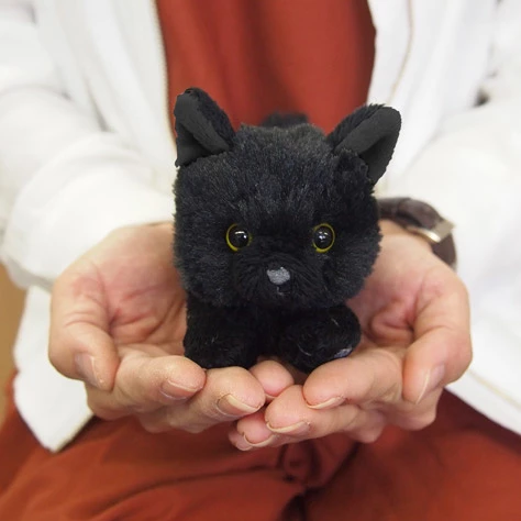 Hizaneko Chibi Ball Chain Plush Collection - Image 20