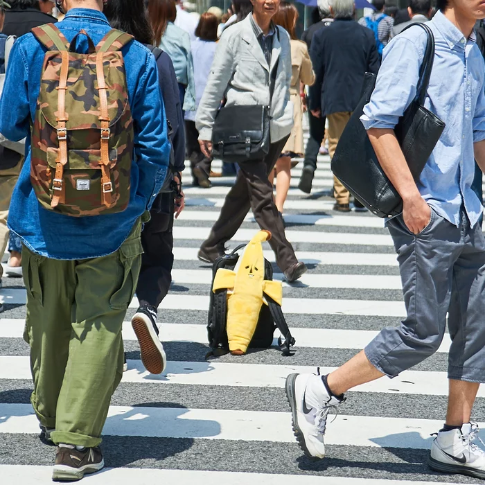 Elite Banana Banao Peelable Medium Plush - Image 20