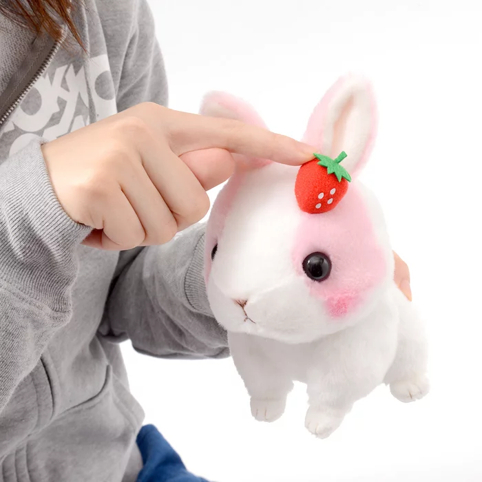 Amuse Kyun To Naki Usagi Noichigo Pika Plush Collection (Standard) - Image 11