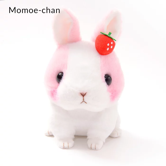 Amuse Kyun To Naki Usagi Noichigo Pika Plush Collection (Standard) - Image 9