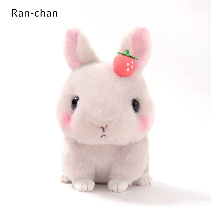 Amuse Kyun To Naki Usagi Noichigo Pika Plush Collection (Standard) - Image 7