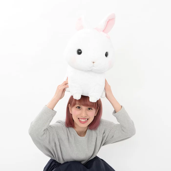 Amuse Kyun To Naki Usagi No Uta 2 Pika Plush Collection (Big) - Image 9