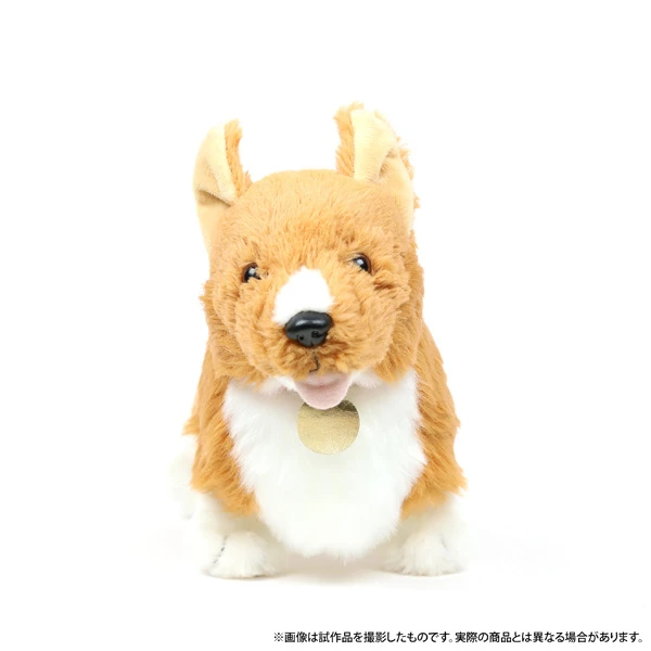 Cowboy Bebop Ein Plush - Image 2