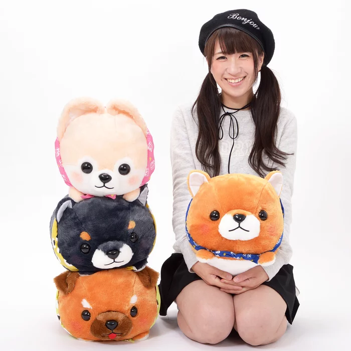 Amuse Mameshiba San Kyodai Tsumikko Dog Plush Collection Vol. 3 (Big)