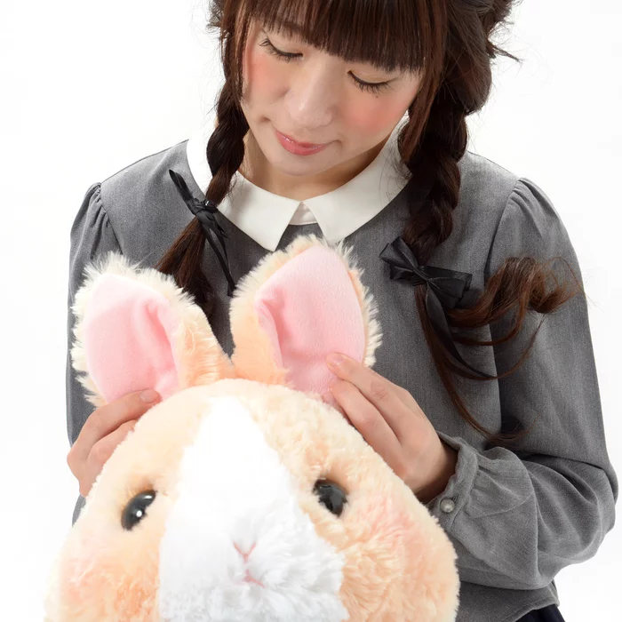 Amuse Usa Dama-chan Rabbit Plush Collection (Big) - Image 14
