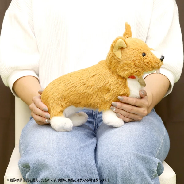 Cowboy Bebop Ein Plush - Image 5