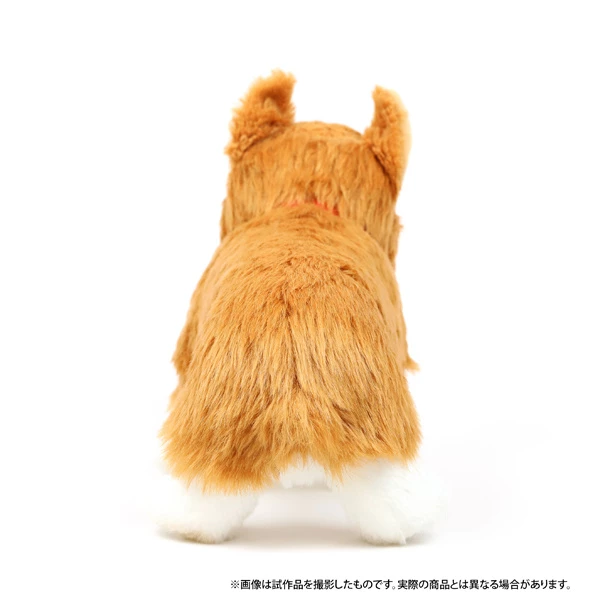 Cowboy Bebop Ein Plush - Image 4