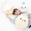 Amuse Pometan To Oyasumi Dog Plush Collection (Big)