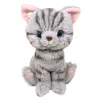 Sunlemon Kitten Plush: American Shorthair
