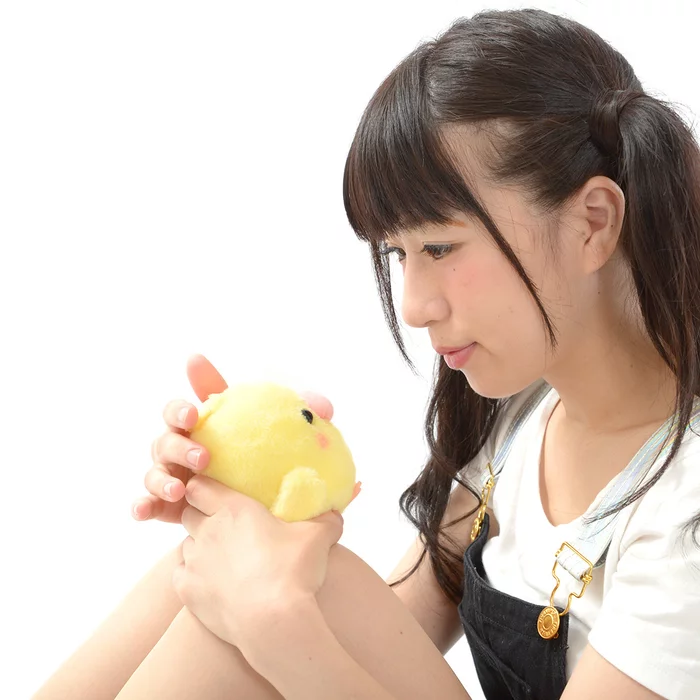 Amuse Kotori Tai Waku Waku Bird Plush Collection (Standard) - Image 12